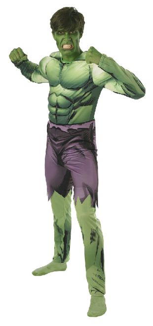 the avengers incredible hulk adult costume