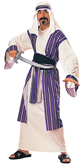 Desert Prince Adult Costume