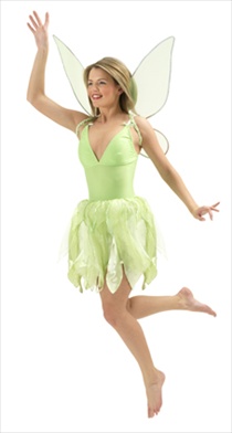 Disney Adult Tinkerbell Costume