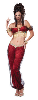 Dreamy Genie Costume