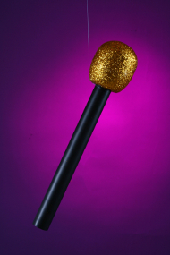 Glitter Microphone