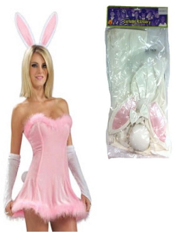 Honey Bunny Accessory kit