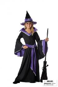 Incantasia the Glamour Witch Child Costume