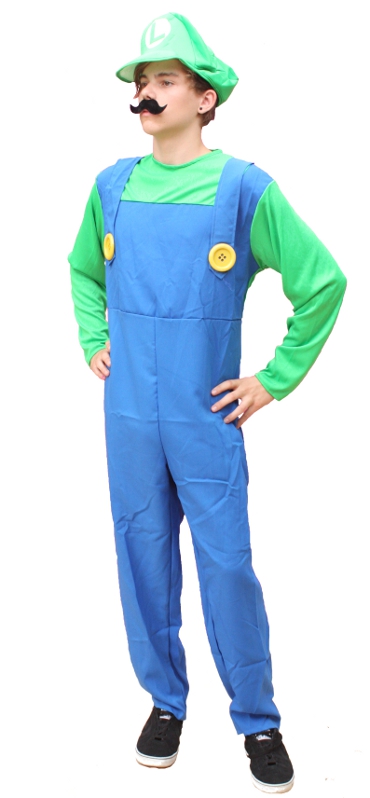 Luigi Adult Costume