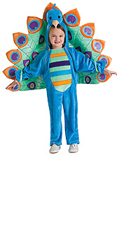 Peacock Toddler Costume