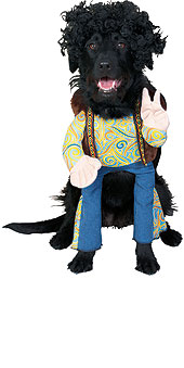 Pet Costume Groovy Dog