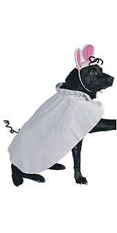 Pet Costume Mouse