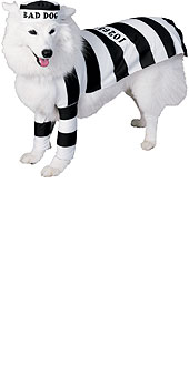 Pet Costume Prisoner Dog