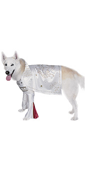 Rock Superstar Dog Pet Costume