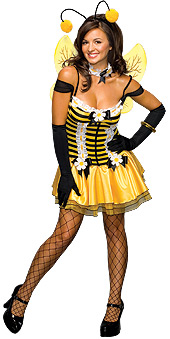 Secret Wishes Honey Costume