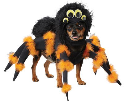 Spider Pup Costume