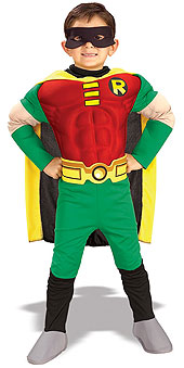 Teen Titan Robin Costume