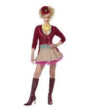 The Mad Hatter Adult Costume