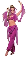 Arabian Princess Costume