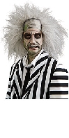 Beetlejuice Wig