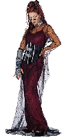 Contessa De Muerte Vampiress Costume