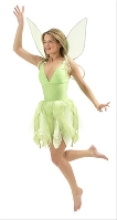 Disney Adult Tinkerbell Costume