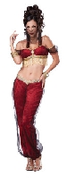 Dreamy Genie Costume