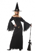 Elegant Witch Costume