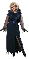 Full Figure Widows Web Costume