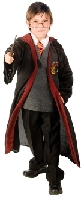 Gryffindor Wizard Child Costume Kit