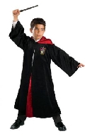 Harry Potter Deluxe Costume