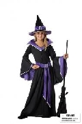 Incantasia the Glamour Witch Child Costume
