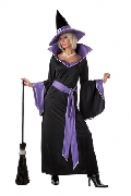 Incantasia the Glamour Witch Costume