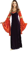 Lord of the Rings Deluxe Arwen Gown Costume
