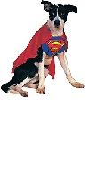 Pet Costume Superman