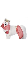 Pet costume Harem Dog