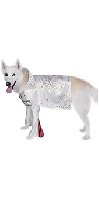 Rock Superstar Dog Pet Costume