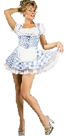 Secret Wishes Country Girl Costume