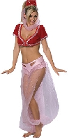 Secret Wishes I Dream of Jeannie Costume