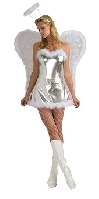 Sexy Silver Angel Costume