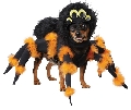 Spider Pup Costume