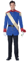 Storybook Prince Costume