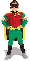 Teen Titan Robin Costume