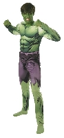 The Avengers Incredible Hulk Adult Costume