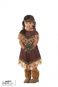 Toddler Lil Indian Princess Costume