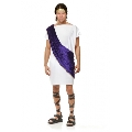 Toga Man Purple Costume
