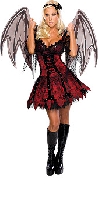 Vampire Fairy Costume