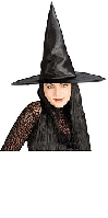 Witch Hat with Black Hair