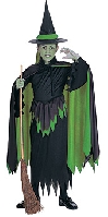 Wizard of Oz Child Wicked Witch of the West Costume