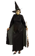 Wizard of Oz Wicked Witch of the West Costume