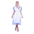 Wonderland Alice Adult Costume